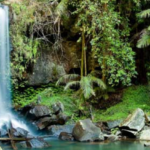 Gold Coast Airport Transfers - Natural Attractions and Parks